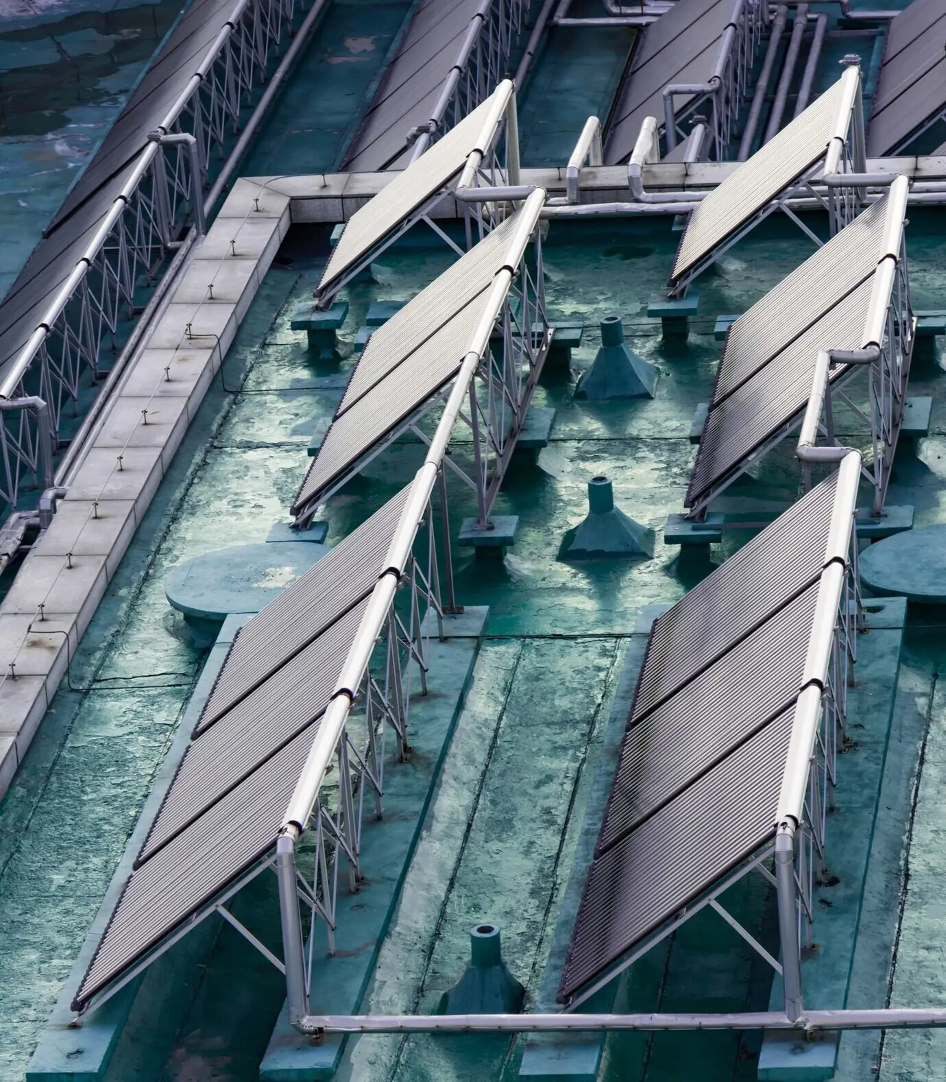 sunny summer global alternative ecology